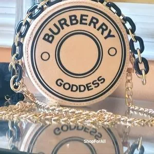 Burberry Bags Burberry Goddess Travel Jewelry Case Clutch Bag Circle Poshmark
